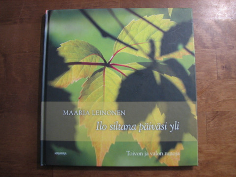 Ilo siltana päiväsi yli, Maaria Leinonen