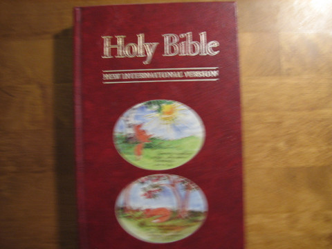 Holy Bible, New International Version, d3