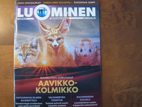 Luominen-lehti, numero 41