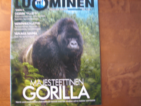 Luominen-lehti, numero 39