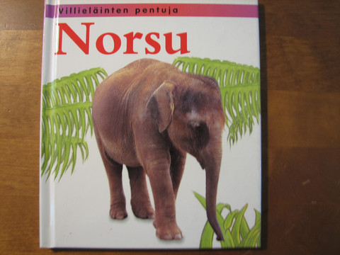 Norsu, Jinny Johnson