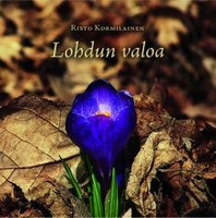 Lohdun valoa, Risto Kormilainen