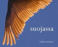 Suojassa, Erkki Jokinen, d2