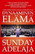 Dynaaminen elämä, Sunday Adelaja