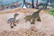 Mojo 3D Reppu eläinfiguureilla ja leikkimatolla, dinosaurus