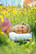 Sissel -Ortopedinen tyyny Classic Plus-malli (110.001)