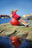 SISSEL® Exercise Ball, Jumppapallo