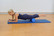 SISSEL® Massage Roller (310.025)
