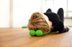 SPINEFITTER by SISSEL®