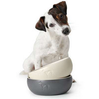 Ceramic bowl Lund - koiran ruokakuppi 350ml Harmaa