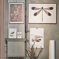 Sköna Ting juliste 35x50 cm Almond Blossom