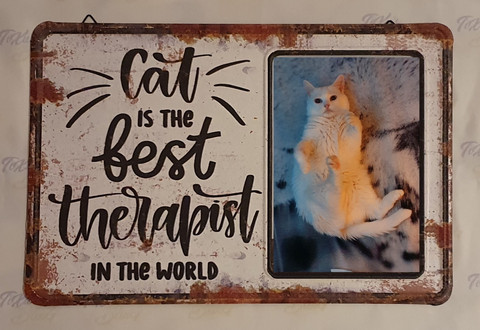 Cat Is The Best Therapist - Peltikyltti