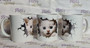 Holly Smitten Kitten! - TiXu's BlinG 3D Mug Collection