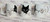 Blacky Blossom Cat - TiXu's BlinG 3D Mug Collection