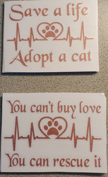 Save A Life - Adopt A Cat