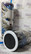 3D Kissa termari - TiXu's Tumbler Collection
