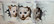 Holly Smitten Kitten! - TiXu's BlinG 3D Mug Collection