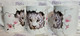 Snowy Blossom Tiger Cub - TiXu's BlinG 3D Mug Collection