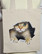 Peekaboo Singapura Cat - TiXu's BlinG Collection