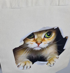 Peekaboo Singapura Cat - TiXu's BlinG Collection