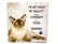 Iso Kissa peltitaulu 22kpl 3,50€ kpl Ovh 25,00€
