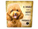 Iso Koira peltitaulu 36kpl 3,50€ kpl Ovh 25,00€