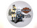 Harley Davidson peltikylttejä 15 kpl 3,50€ kpl