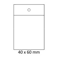Salpapussit kirkas 40 x 60 x 0.05 mm 100 kpl