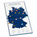 Leuchtturm Presso kolikkokansio Saksa 2 € 2006-2021 Bundesländer
