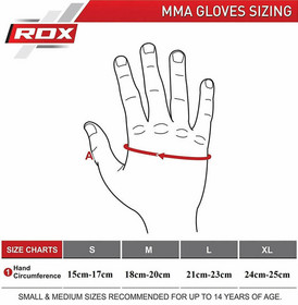 REX MMA Sparring Gloves