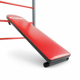 Gymnastic Ladders with Dip Station/Pull-Up Bar and Bench