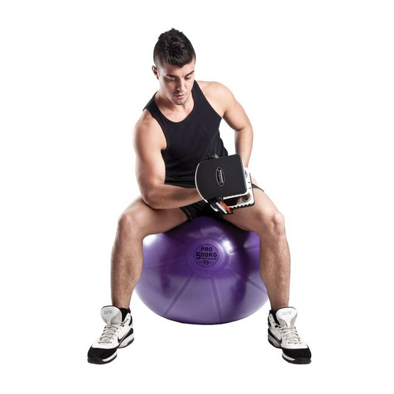 Fitnesspallo, 65 cm, 500 kg + pumppu