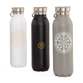 Stainless Steel Insulated Bottle, 600 ml