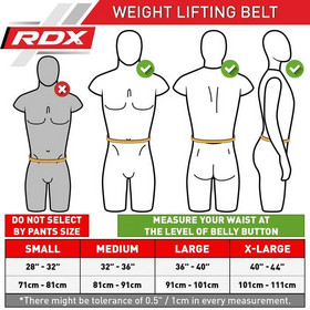 4L Weightlifting Belt