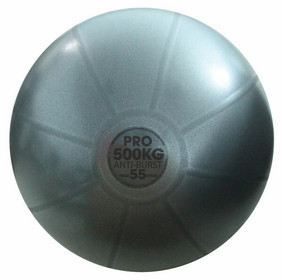 Studio Pro Swiss Ball, 75cm, 500 kg, Graphite
