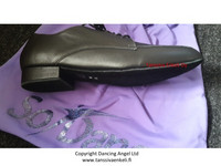 Bl 102 W-lesti