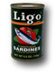 Sardine in Tomato Sauce