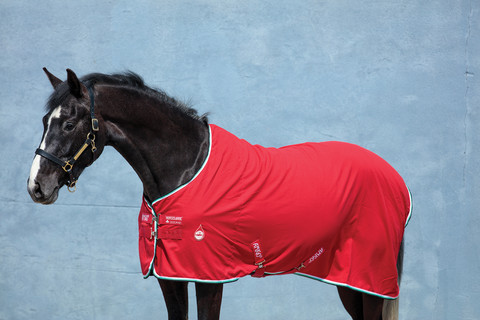 Amigo Stable Sheet