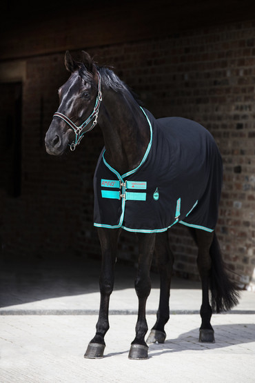 Amigo Stable Sheet