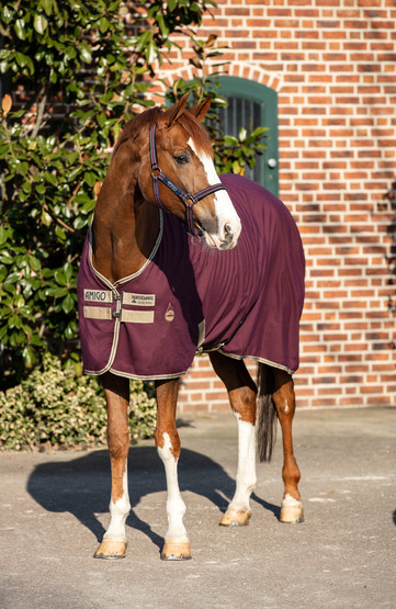 Amigo Stable Sheet