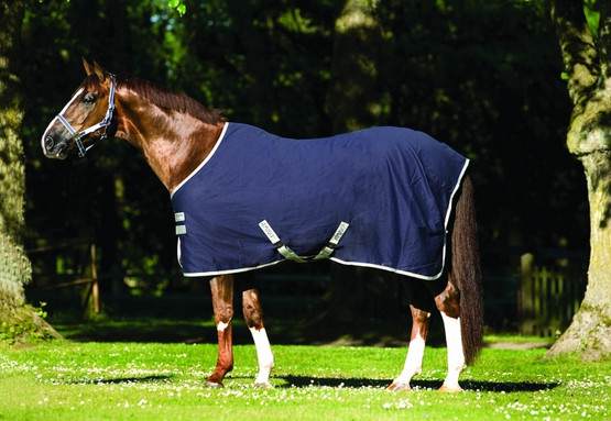 Amigo Stable Sheet