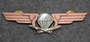 Finnish Army Airborne Jaeger Company Chest badge ( Jump badge ).  3rd class