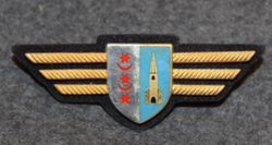 Chest badge ( Brustflügel ) Swiss Police. Montreux