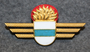 Chest badge ( Brustflügel ) Swiss fire depatrments, Zug