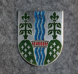 Vejle Kommune. Danish municipality, cap badge