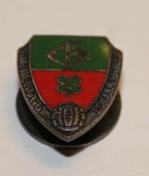 Richemond dailettes ( football club ) pin.