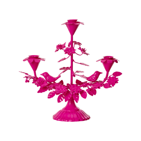 Kynttelikkö, neonpinkki