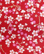 Tapetti 313027 Cherry Blossom Red, punainen