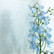 Tapetti 313031 Shanghai Bows Blue, vaaleansininen