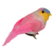 Koristelintu